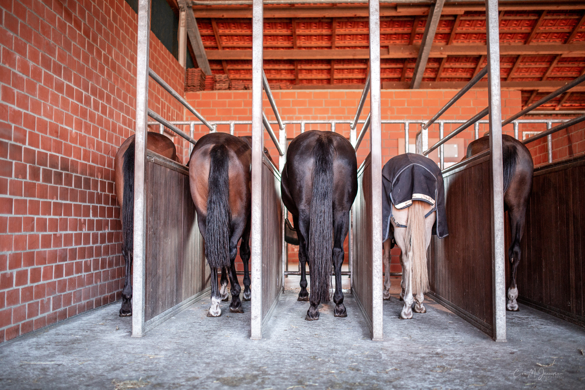 Haftung des Stallbetreibers