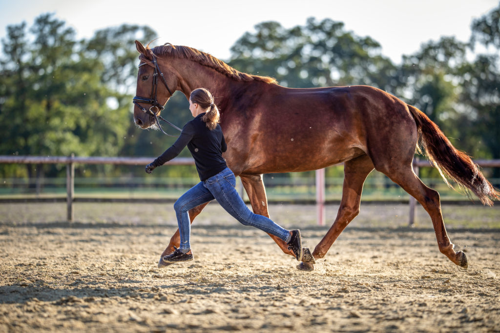 corajennissen_20190920_CMJ15279-Bearbeitet-PrintOnly