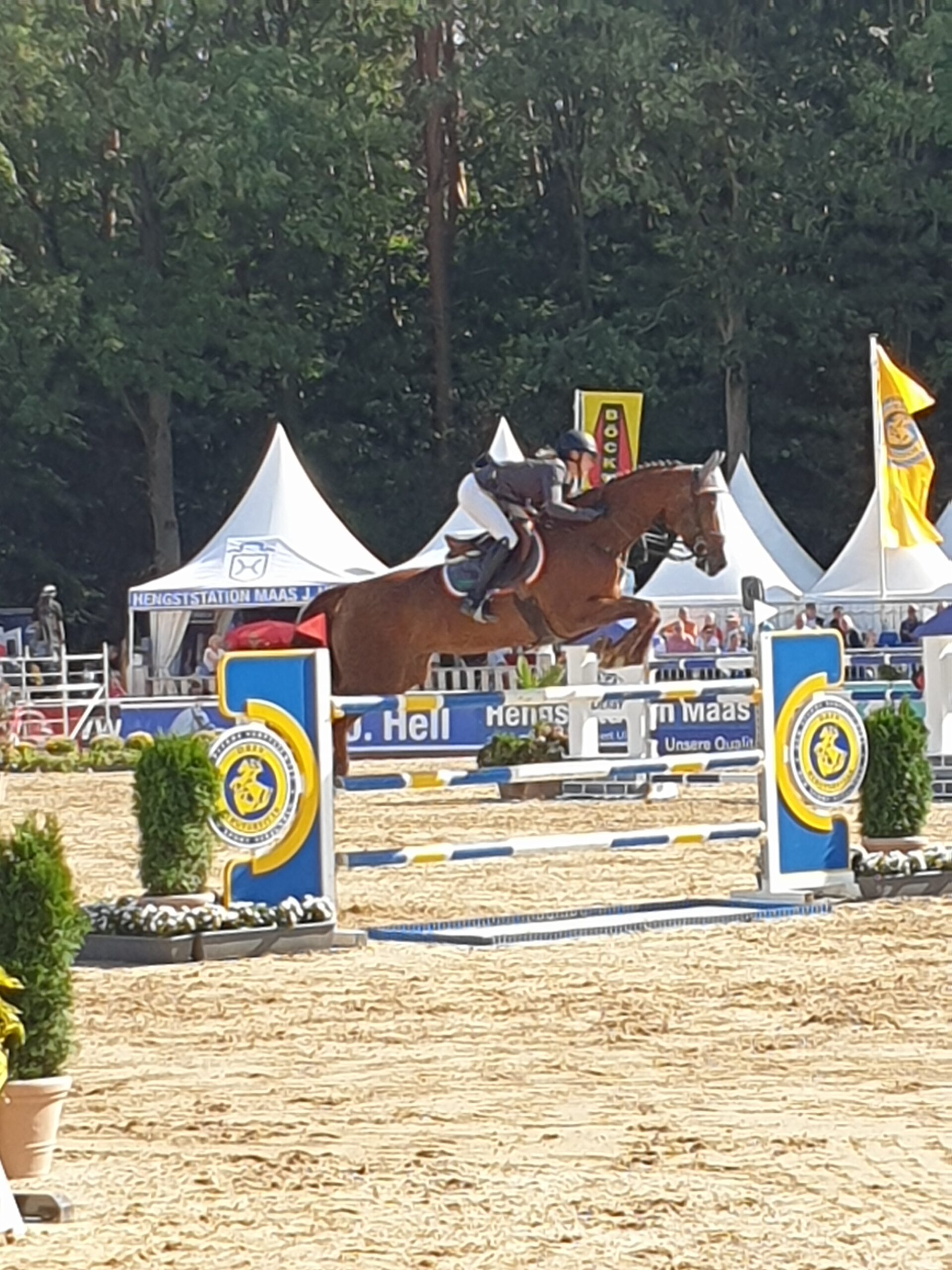 Besucht uns auf dem Bundeschampionat!