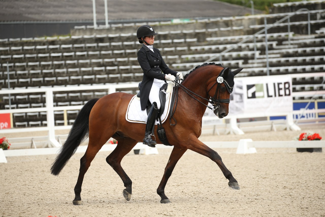 Dressurfestival mit Süddeutschem Berufsreiterchampionat in Marbach
