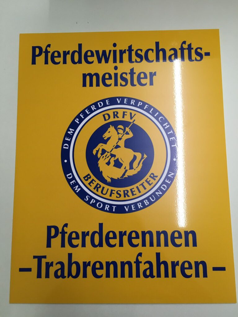 13_PfWMer_2022_Pfrennen_Trabrennf1