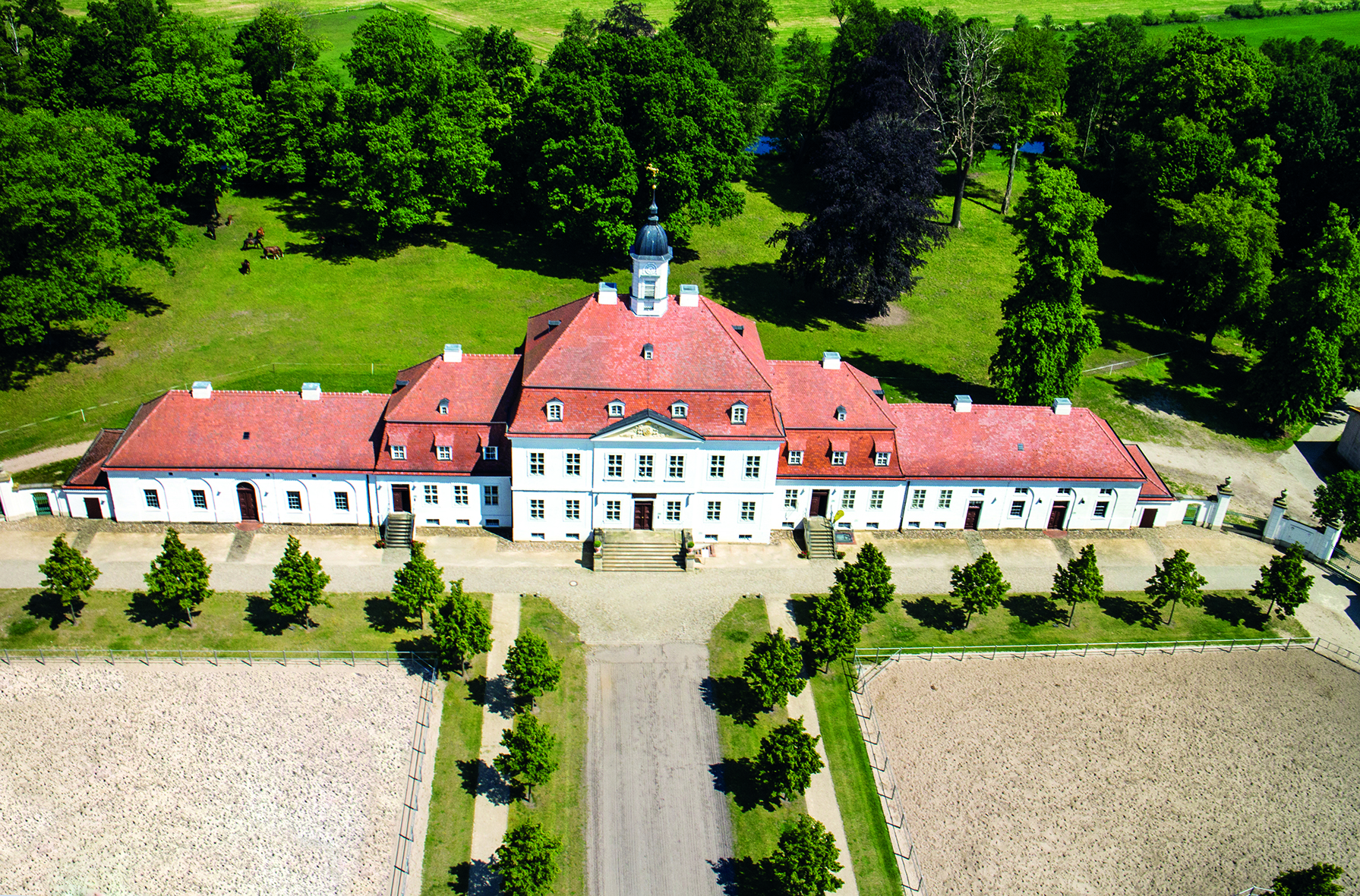 Bundesberufsreitertag Neustadt-Dosse 2023 – Deutsche Reitlehre in der Praxis