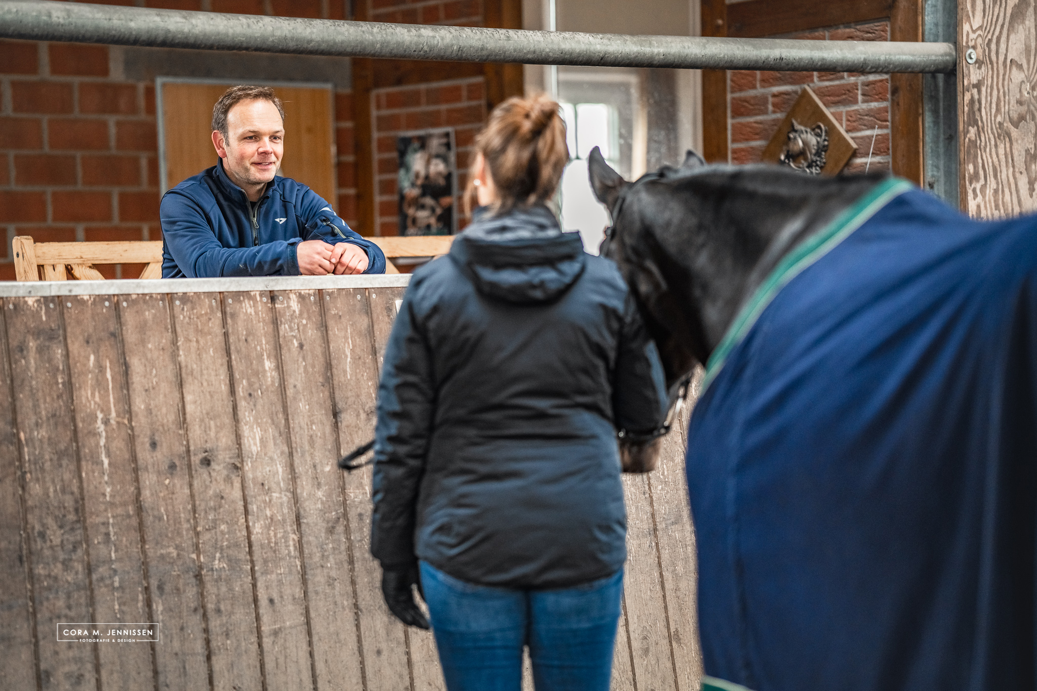 Bodenarbeit mit dem Pferd
