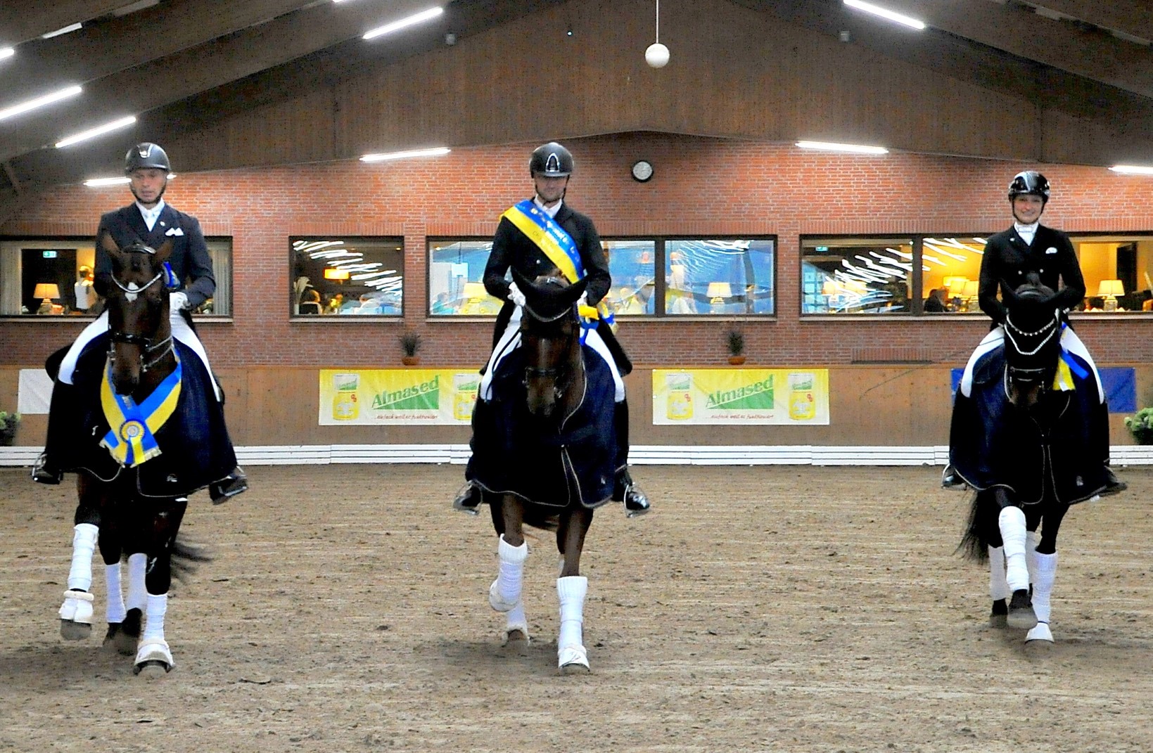 Felix Kneese siegt im Norddeutschen Berufsreiterchampionat